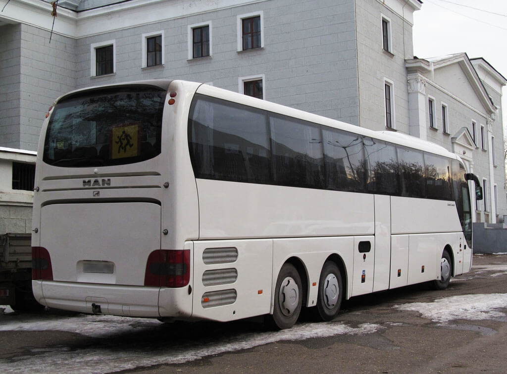 R08 Lion's Coach