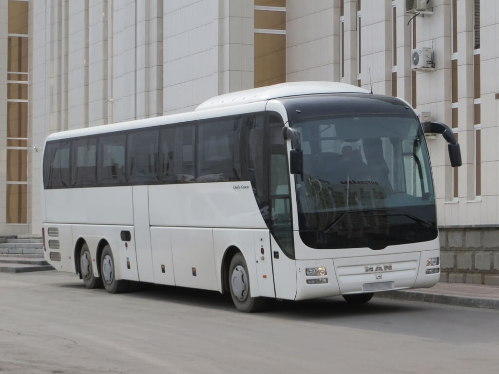 R08 Lion's Coach